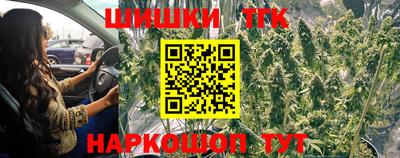 стафф Нальчик