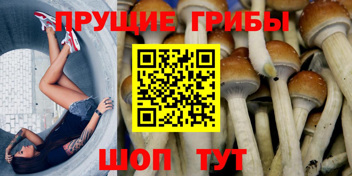 Псилоцибиновые грибы Cubensis  Галлюциногенные грибы мицелий  Вход с VPN  Симферополь 