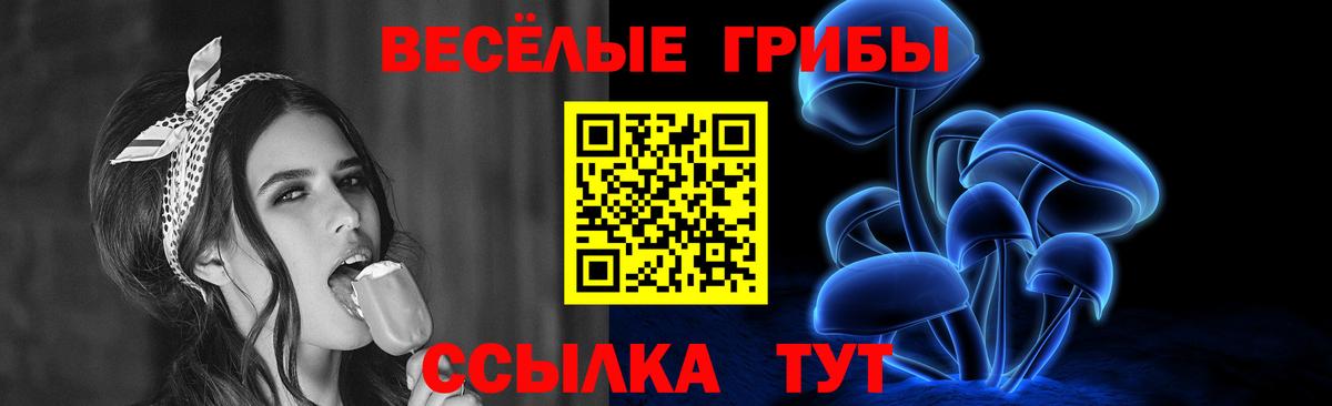 Галлюциногенные грибы Psilocybe Симферополь
